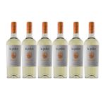 LP-TD-x-6-botellas-