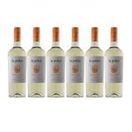 LP-TD-x-6-botellas-