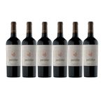 PA-MB-x-6-botellas