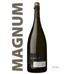 vlp-magnum-100