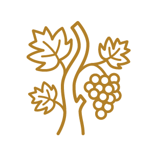 Valle de Uco
