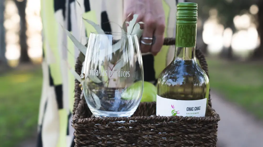 picnic con vino chac chac sauvignon blanc canasta-picnic-vino-copa-chac-chac