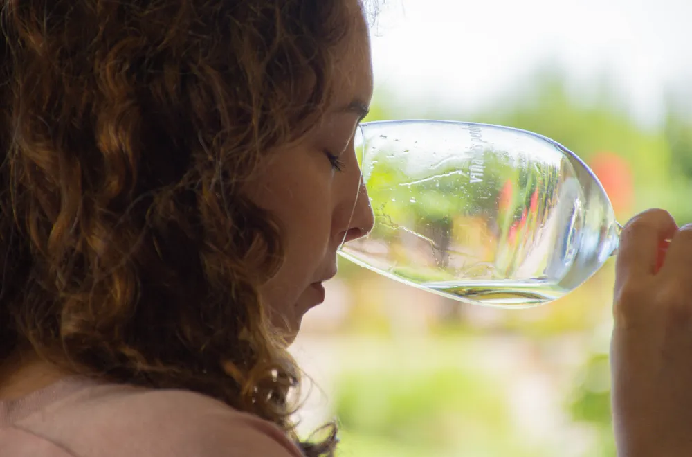 descuento-vinos